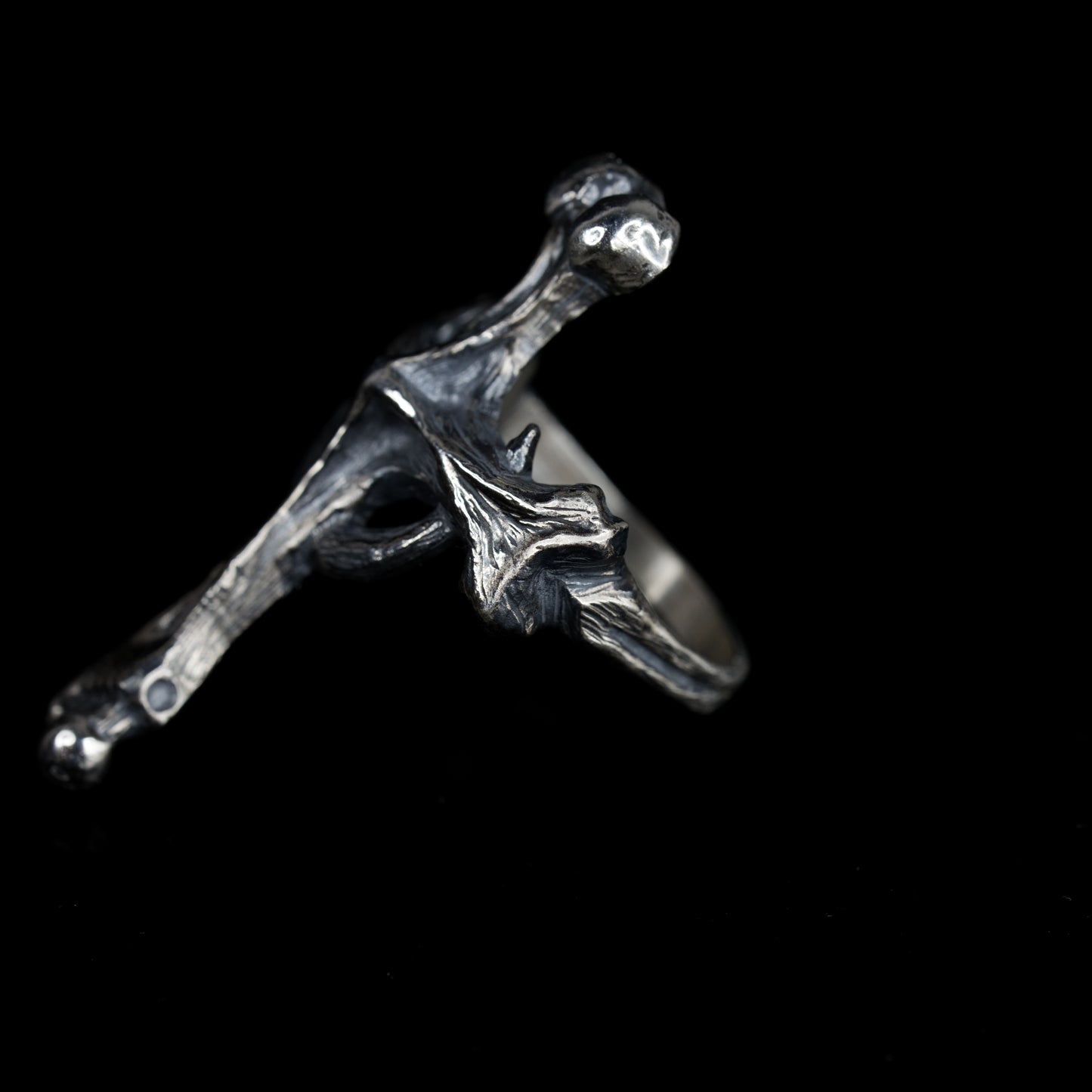 夜之十字 - Crux Noctis