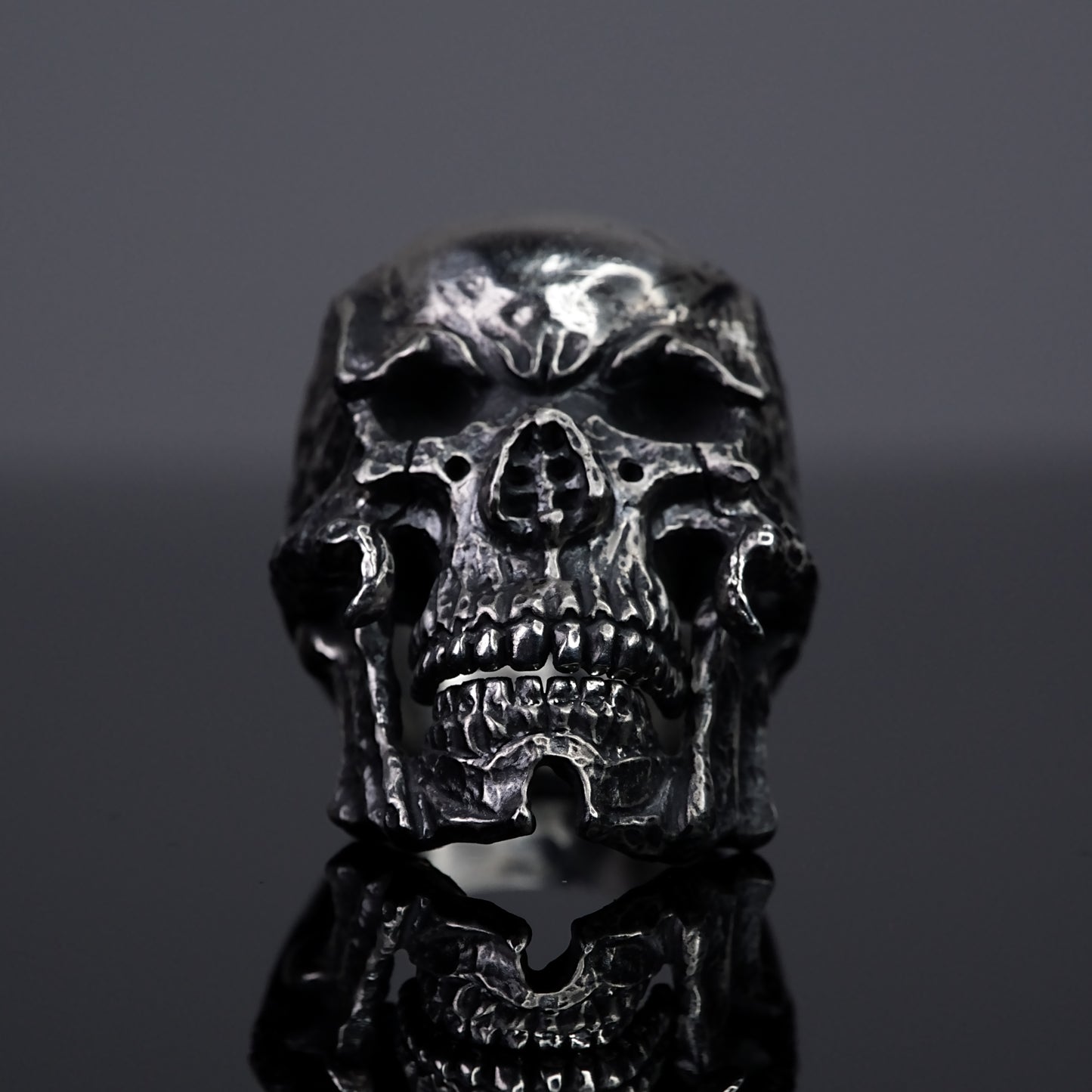 復仇之骸 - Remains of Vengeance